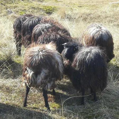 4 Person In בית נופש Grömitz